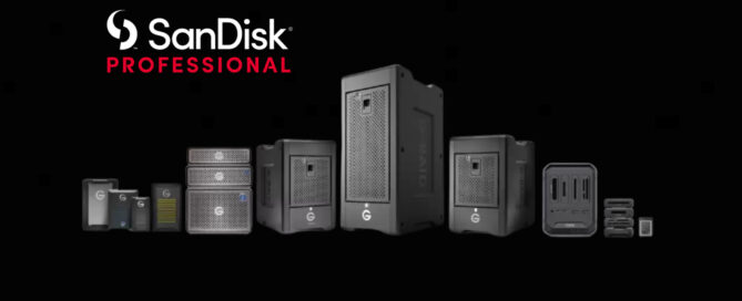 sandisk professional