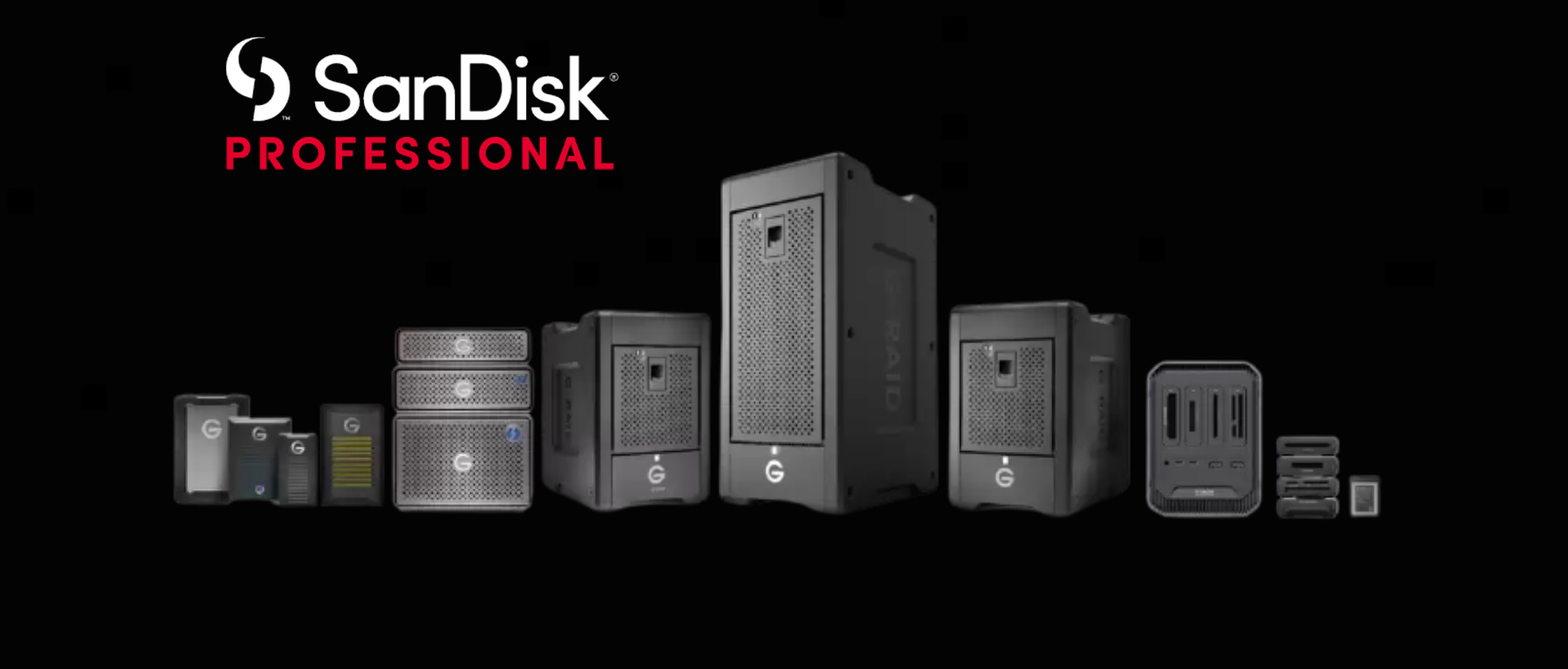 sandisk professional