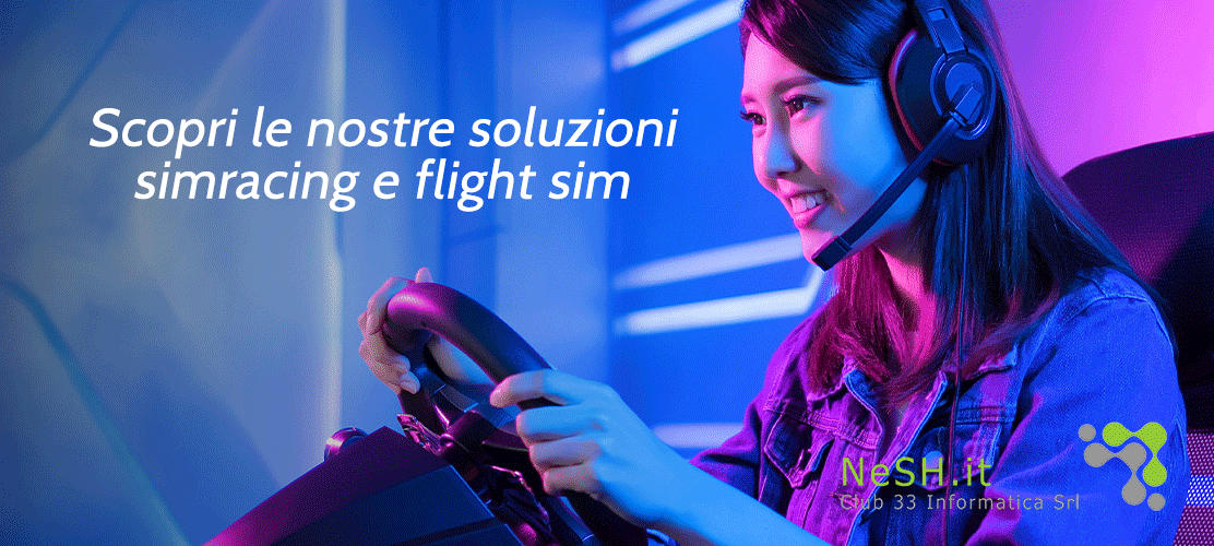 SETTORE GAMING: SOLUZIONI SIMRACING E FLIGHT SIM