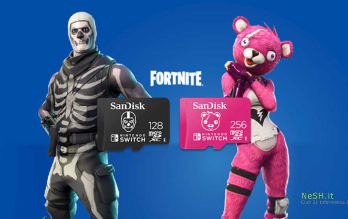 schede di memoria fortnite per nintendo